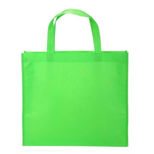 Shopping bag--Non woven Shopping bag